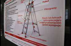 IMG_1823_original