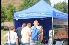 IMG_1903_original
