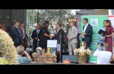 IMG_1941__original