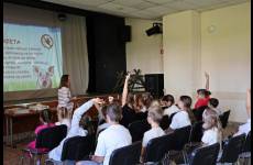 img_6109_p65233_original
